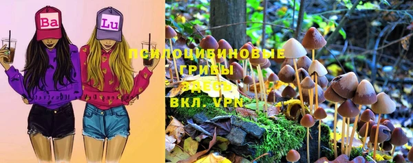 прущий лед Алексеевка